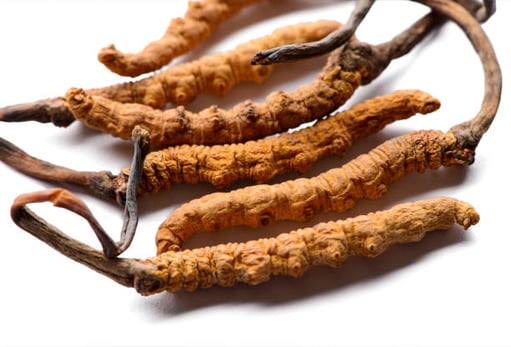istockphoto-929926328-612x612